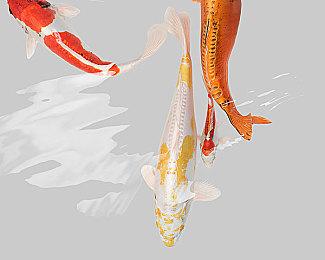 乐队经理模拟游戏《Rockbeasts》狂野实机首次曝光！游戏将于2026推出